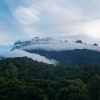 Borneo - Mt Kinabalu o0722